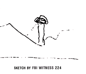 witness 224