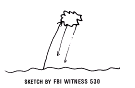 witness 530
